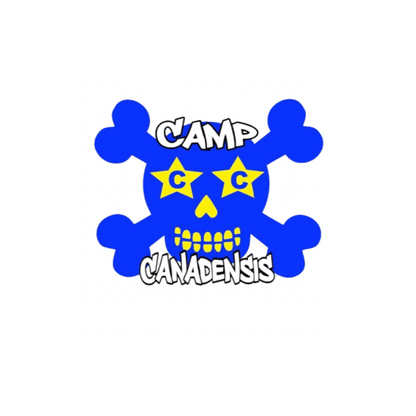 1 Feature Skulls Decal (Star Eyes)