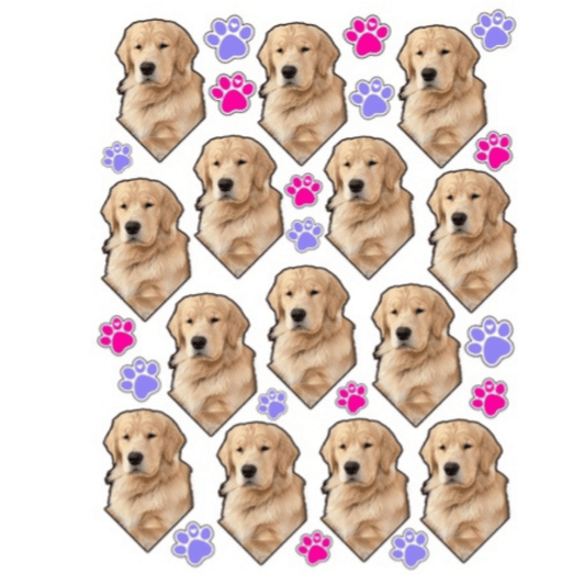 Dog/Face Personalized Sticker Sheet  Create'd