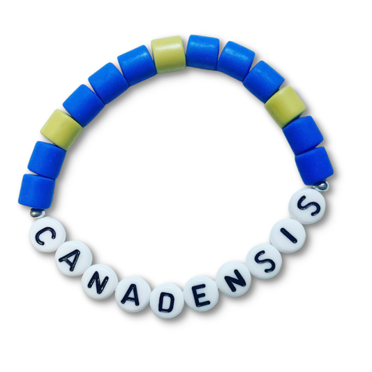 Tubular Camp Bead Bracelet