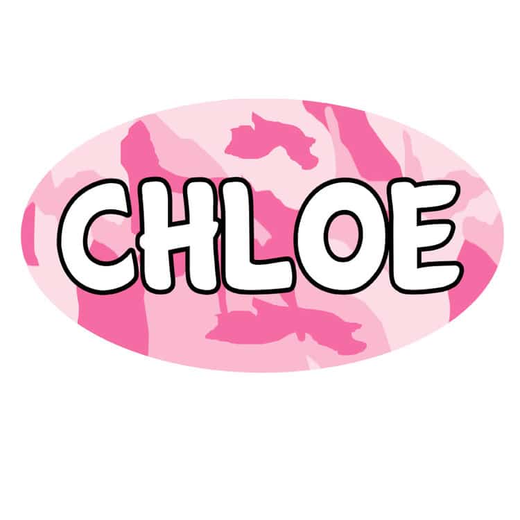 2 Oval Nameplate Decal