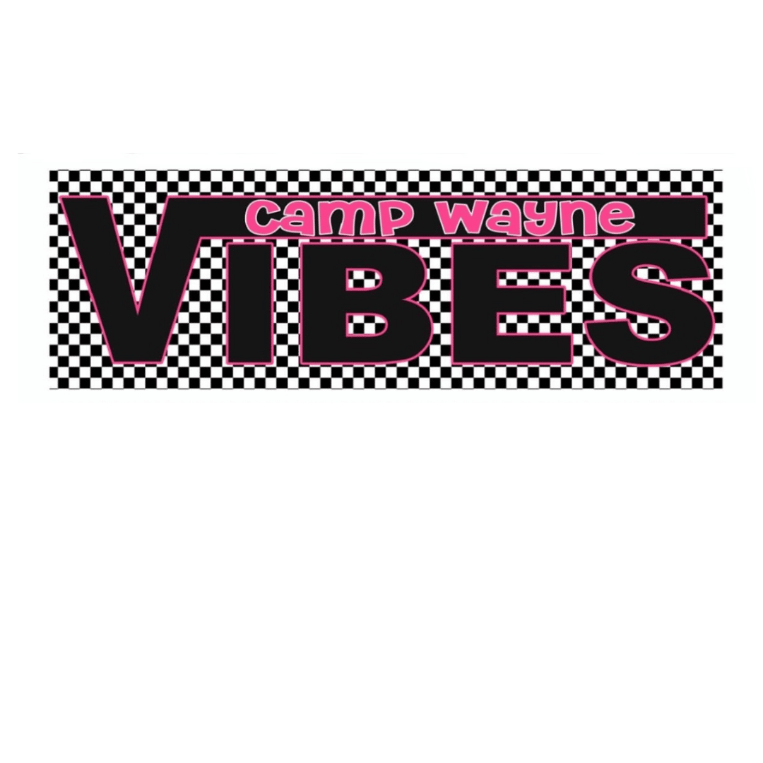 2 Vibes Decal