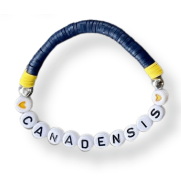 Traditional Disc Camp Colors Bracelet