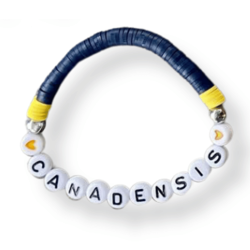 Camp Colors Bracelet