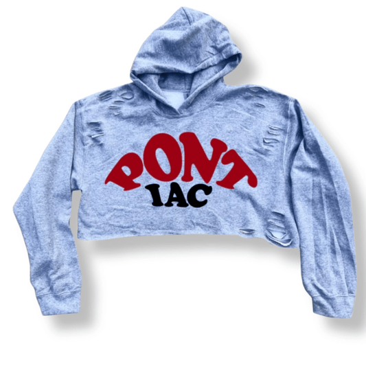 vArched Split Font Cropped Hoodie