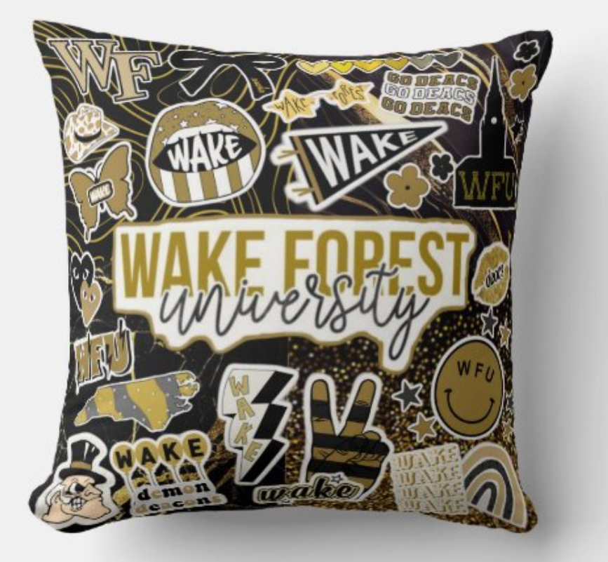 College Pillow CRD 2026