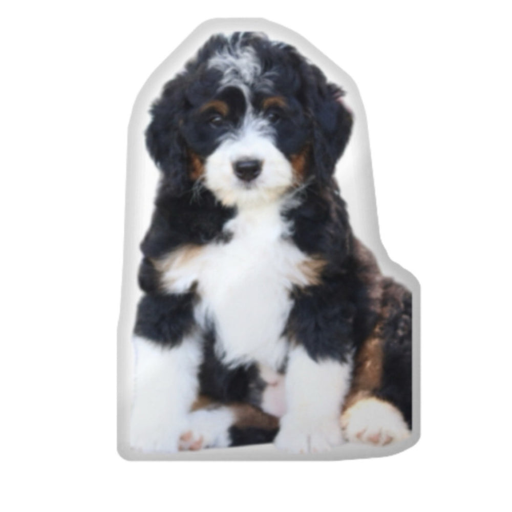 Custom Dog Pillow CRD 2026