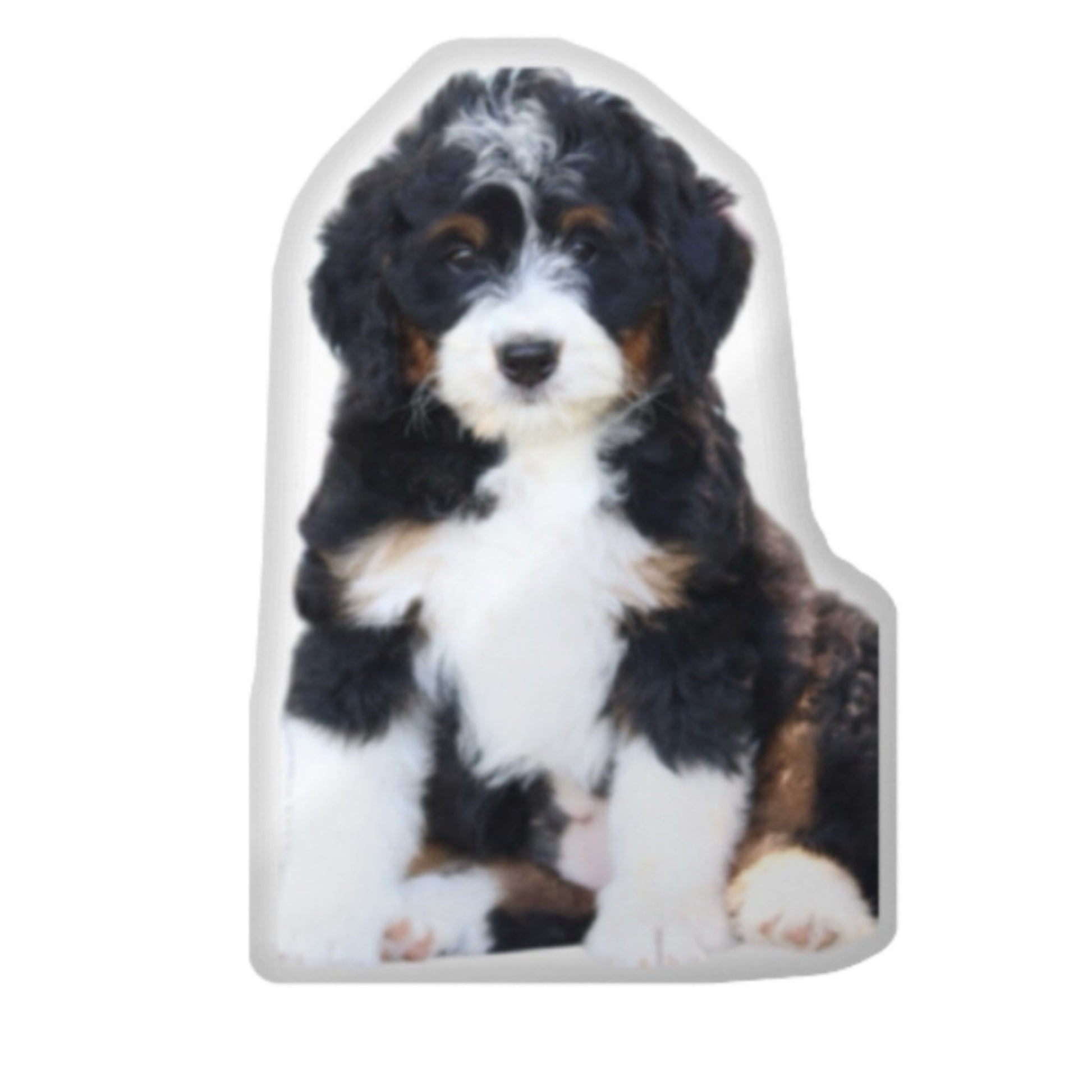 Custom Dog Pillow CRD 2026