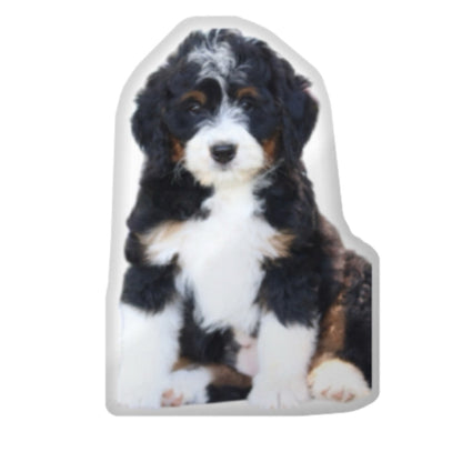 Custom Dog Pillow CRD 2026