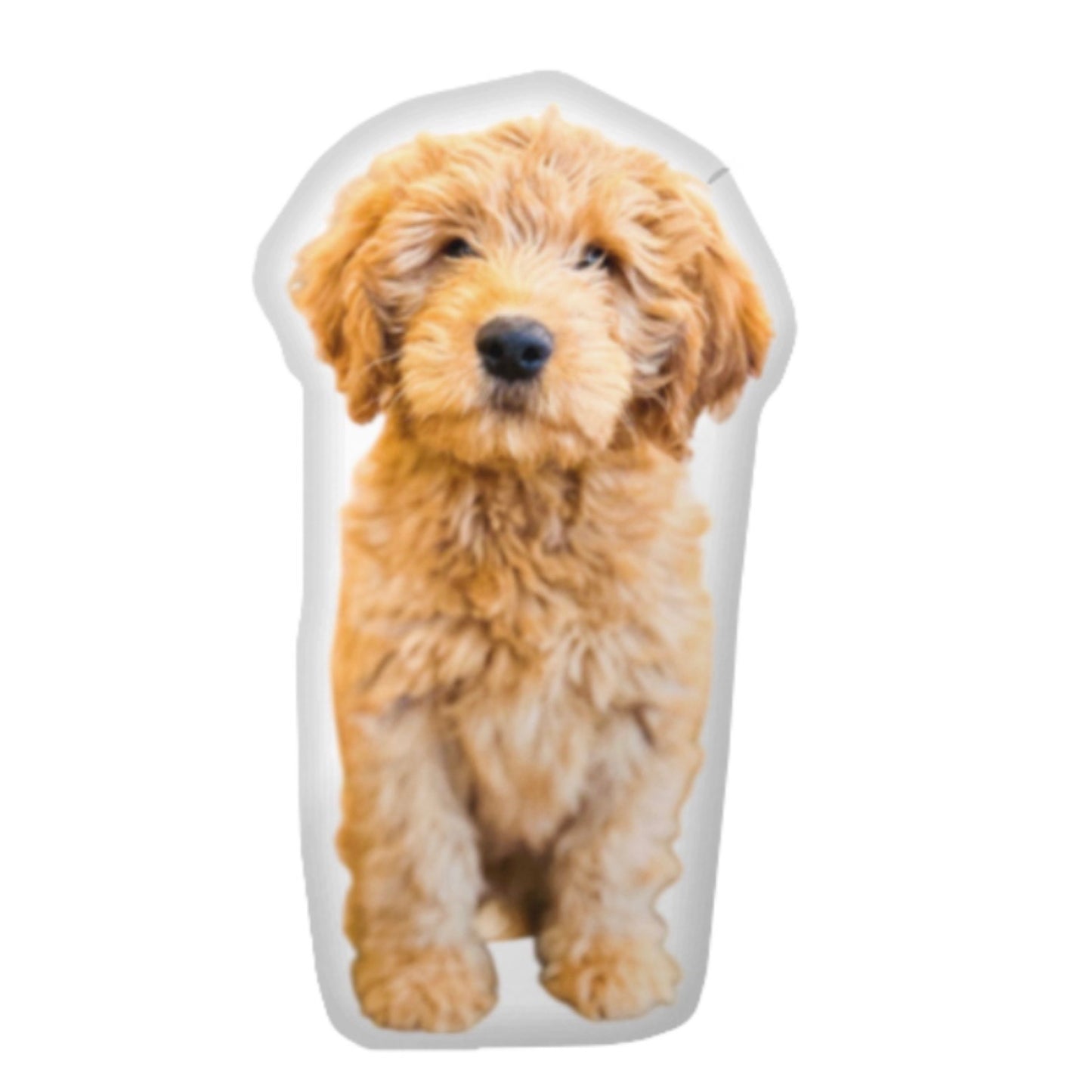 Custom Dog Pillow CRD 2026
