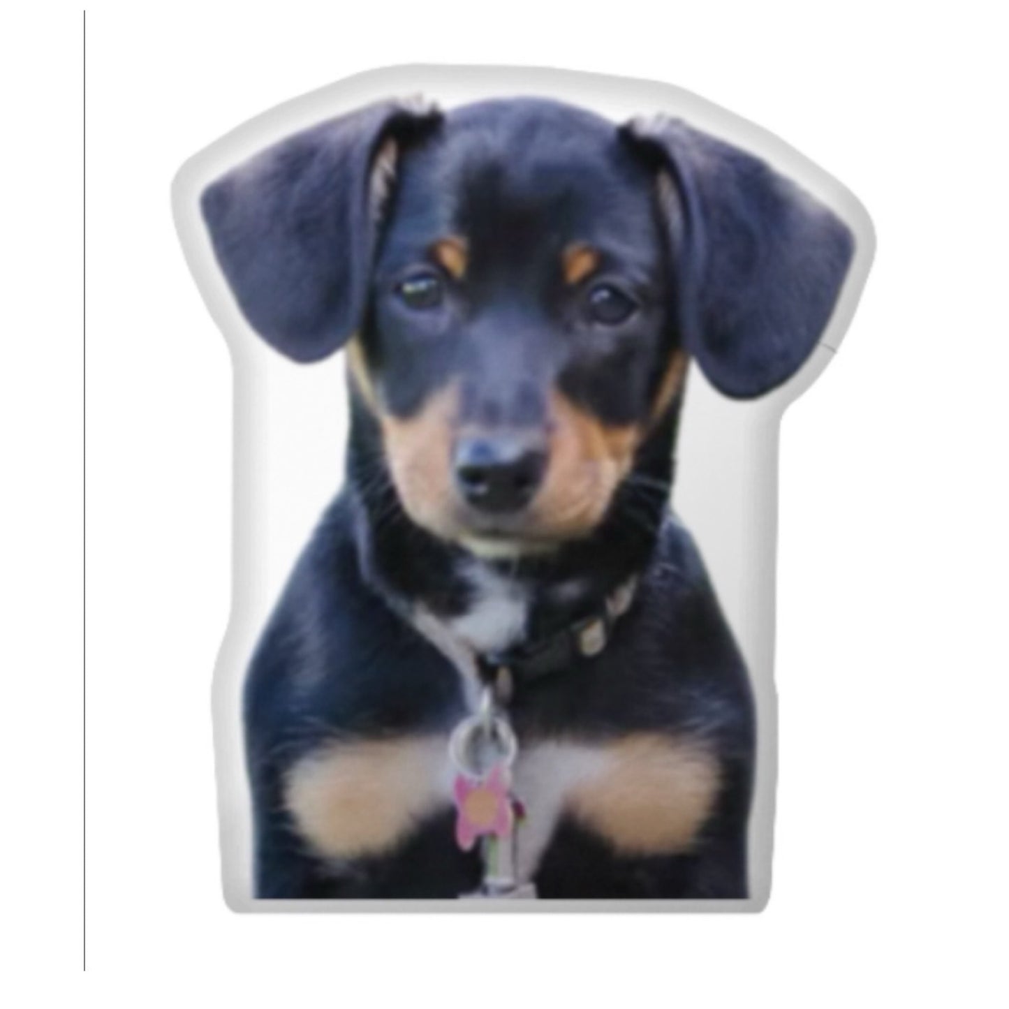 Custom Dog Pillow CRD 2026