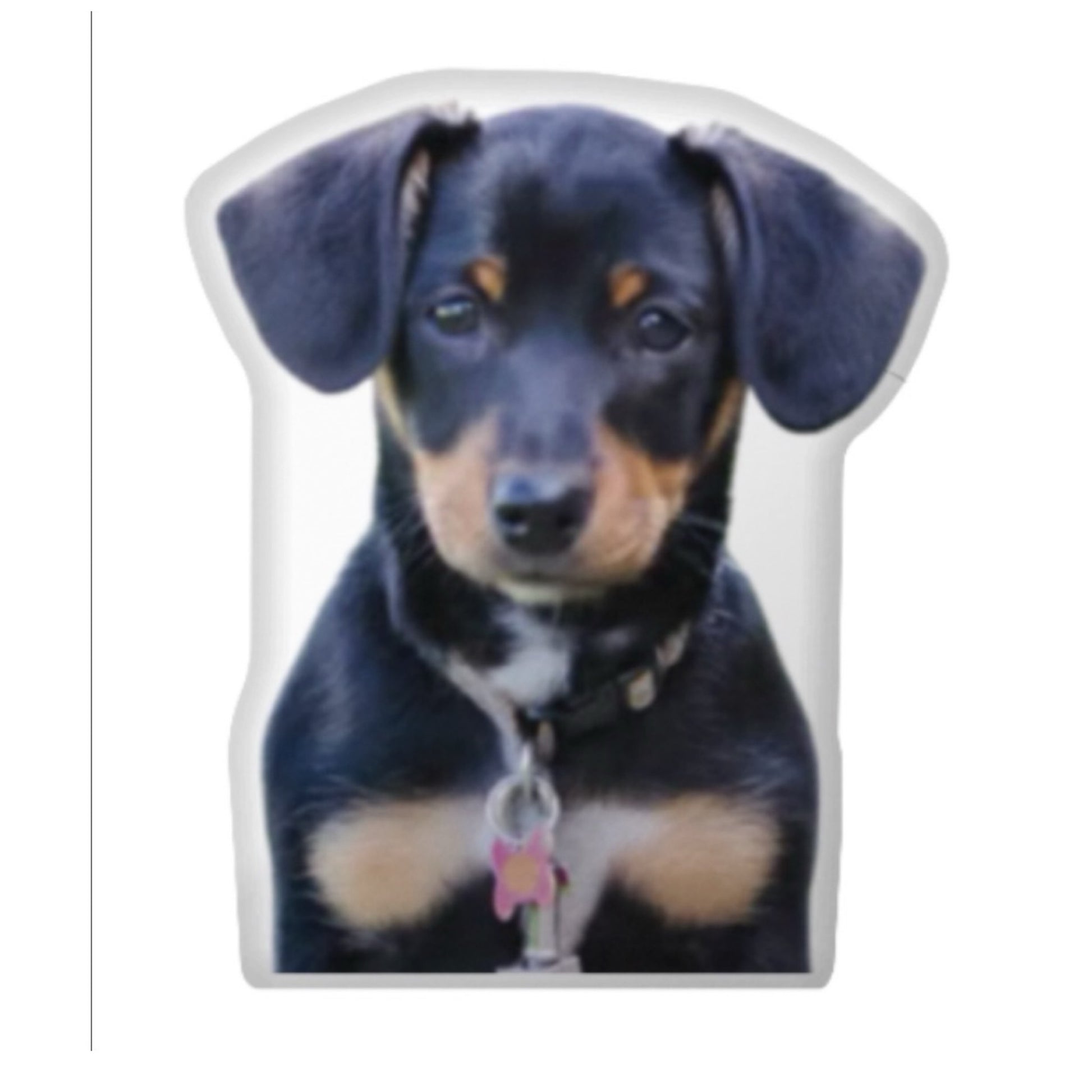 Custom Dog Pillow CRD 2026