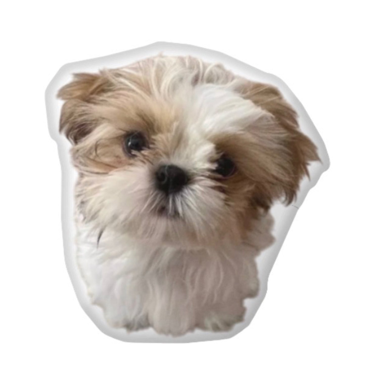 Custom Dog Pillow CRD 2026