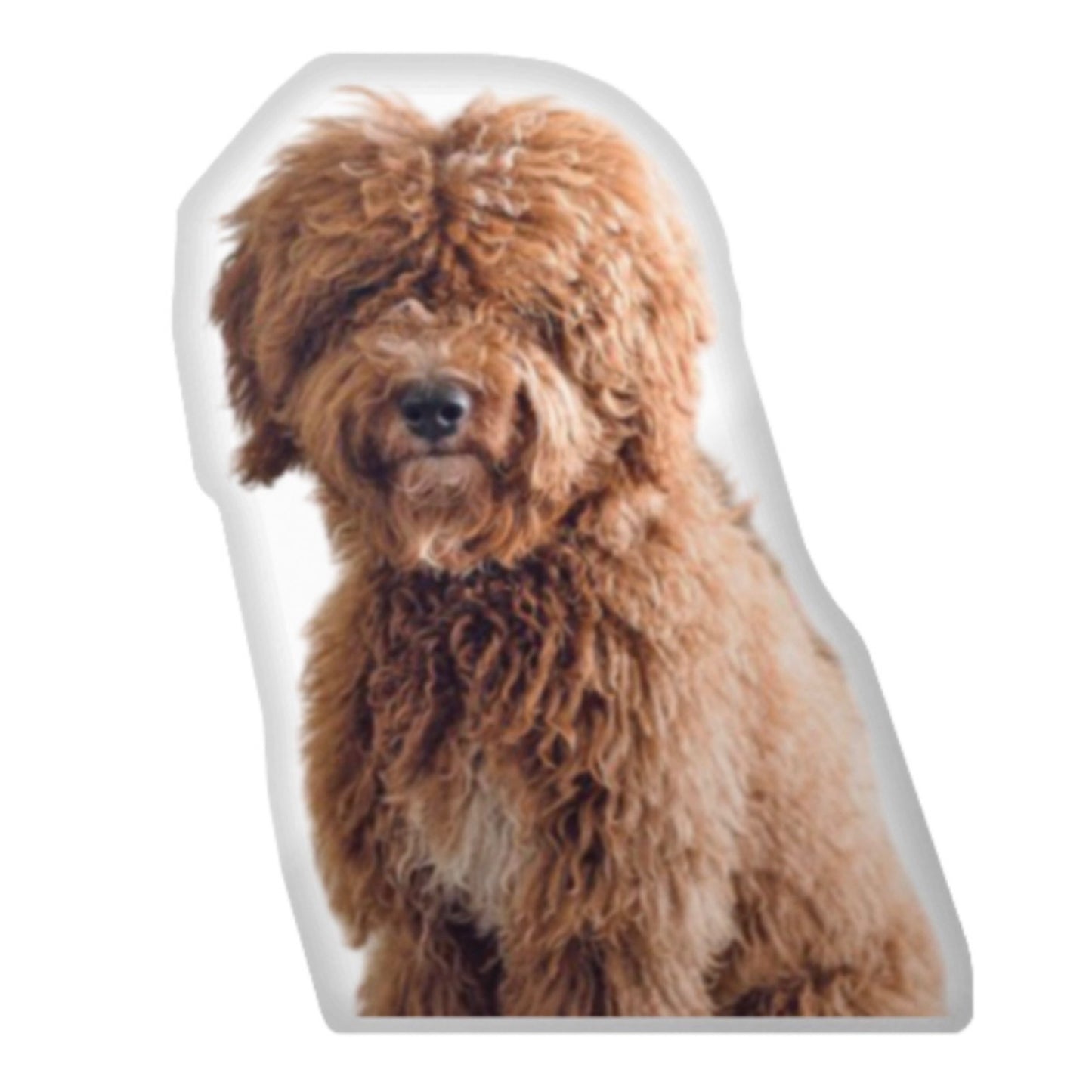 Custom Dog Pillow CRD 2026