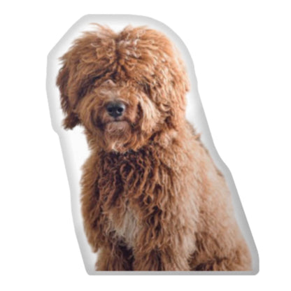 Custom Dog Pillow CRD 2026