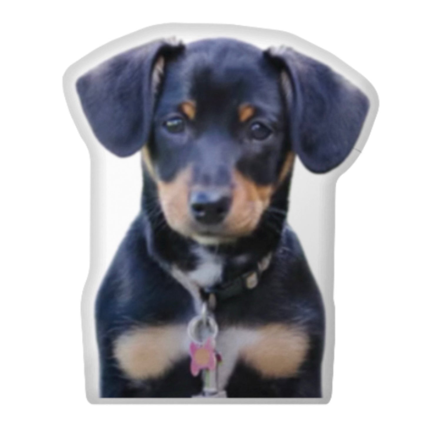 Custom Dog Pillow CRD 2026