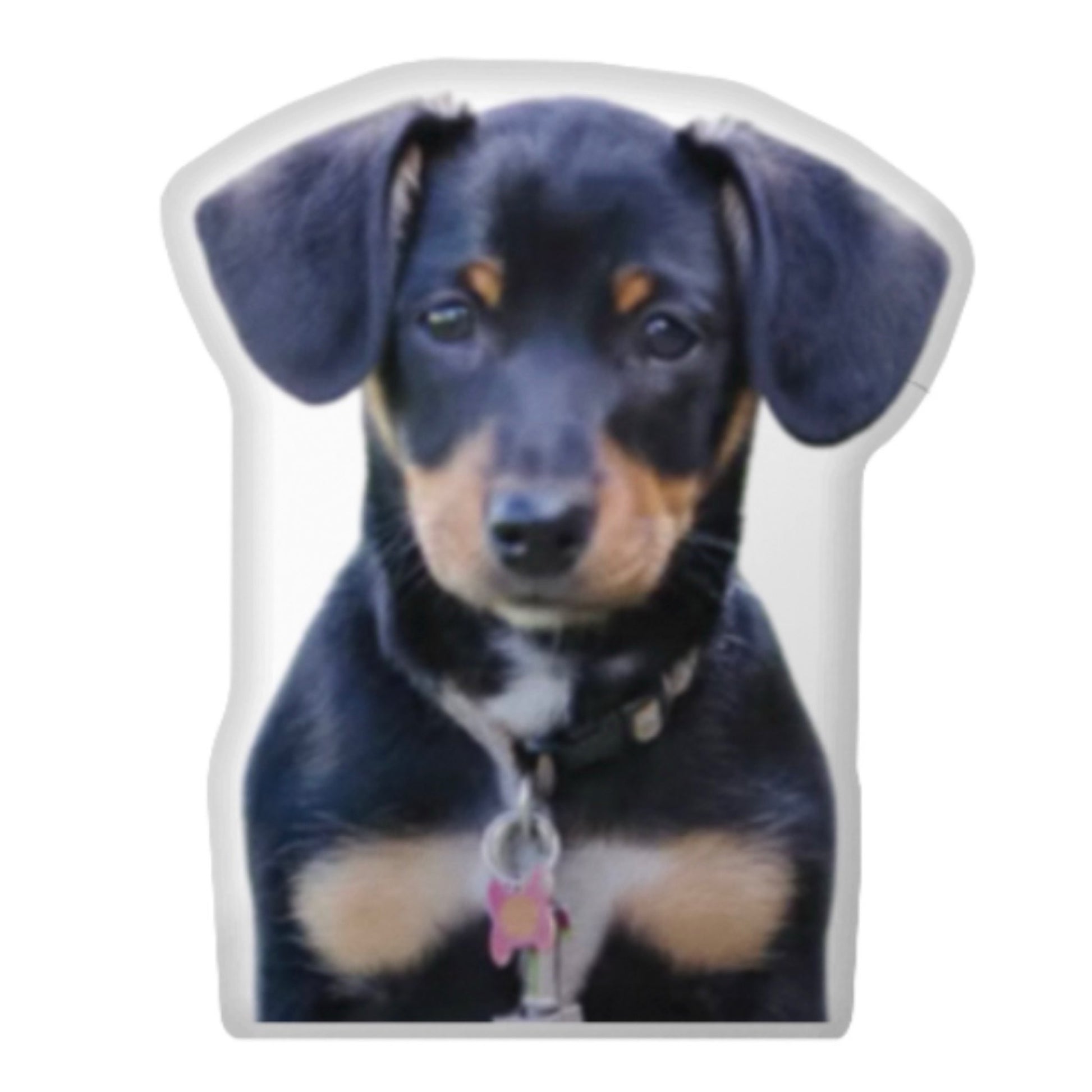 Custom Dog Pillow CRD 2026