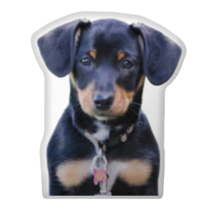 Custom Dog Pillow CRD 2026