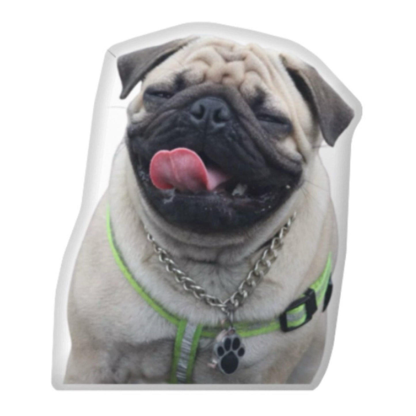 Custom Dog Pillow CRD 2026