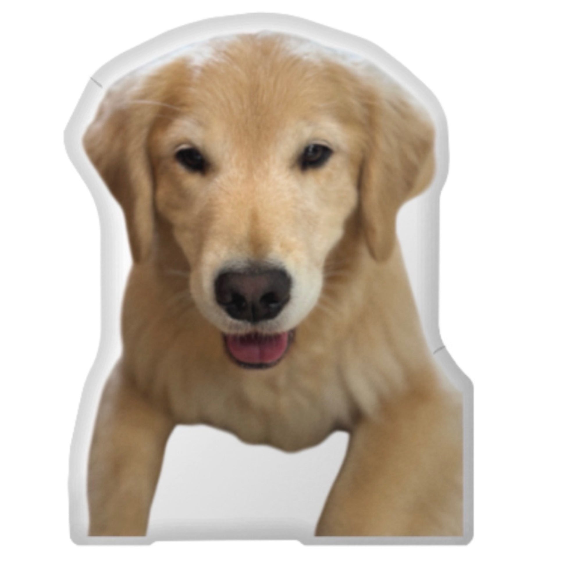 Custom Dog Pillow CRD 2026