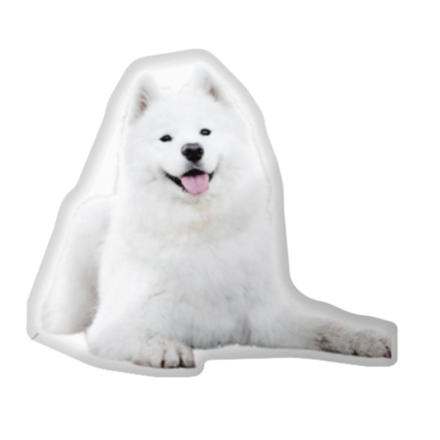 Custom Dog Pillow CRD 2026